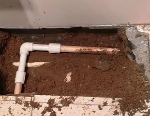 吴桥测漏水哪家好