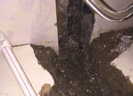 吴桥卫生间测漏水哪家好